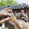 Магазин игрушек динозавров DinoShop на Крылатской улице