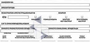 Клуб любителей кошек MurCatClub