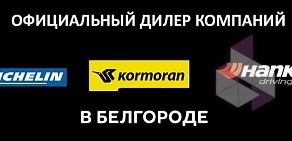 Грузовой сертифицированный центр Michelin Еврошина