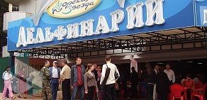 Дельфинарий Морская звезда в Лазаревском внутригородском районе