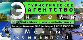 Туристическое агентство Энкели-Тур на улице Желябова