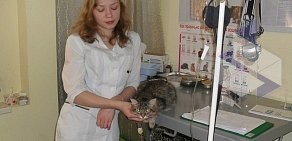 Выездная ветеринарная клиника на улице Избышева