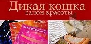 Салон красоты Дикая кошка