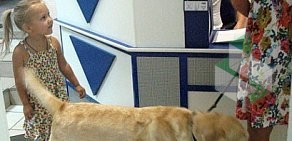Ветеринарный центр Вирион на Новоизмайловском проспекте