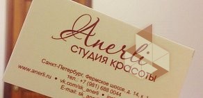 Студия красоты Anerli на Фермском шоссе