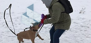 Приют для животных Help Dog на Ленинградском шоссе
