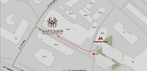 Студия персональных тренировок Анатомия на улице Усачёва