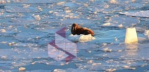 Морская арктическая геологоразведочная экспедиция