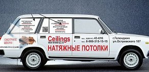 Торгово-монтажная компания NEW Ceilings