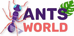 Компания по производству и продаже муравьиных ферм Ants World