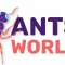 Компания по производству и продаже муравьиных ферм Ants World