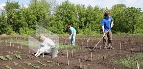 Самарский государственный социально-педагогический университет на Ленинградской улице