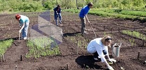 ПГСГА, Поволжская государственная социально-гуманитарная академия на улице Антонова-Овсеенко, 26