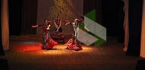 Студия танца фламенко La Mirada на метро Нагатинская