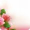 Магазин цветов Your Rozi Premium Flowers
