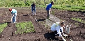 ПГСГА, Поволжская государственная социально-гуманитарная академия на улице Максима Горького, 59