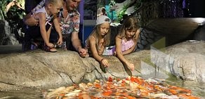 Океанариум Sochi Discovery World Aquarium