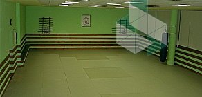 Клуб боевых искусств Gracie Jiu-Jitsu Russia ILMMA Москва