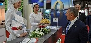 Агентство Инвестиционного развития Республики Татарстан