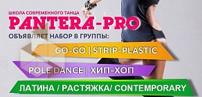Школа современного танца Pantera-pro