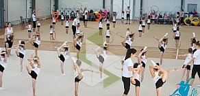 Школа художественной гимнастики Pirouette на Живописной улице, 21 стр 4