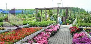 Садовый центр Дарвин в Подольске