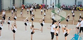 Школа художественной гимнастики Pirouette на Дубнинской улице, 12а