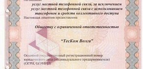 Телекоммуникационная компания Теском Волга