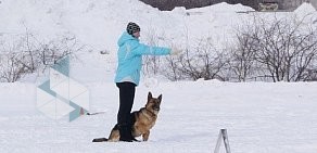 Федерация спортивно-прикладного собаководства Республики Татарстан