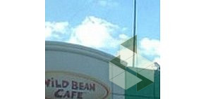 Мини-кофейня Wild Bean Cafe на Варшавском шоссе