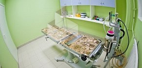 Ветеринарная клиника Котонай на Чкаловском проспекте