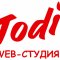 Web-Studio Todi