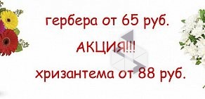 Салон цветов и подарков ОмскБукет55