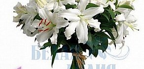 Цветочный салон Белая лилия на проспекте Карла Маркса, 48