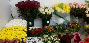 Магазин цветов на Электродной улице, 2 стр 1