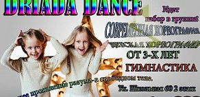 Танцевальная студия Driada Dance на Школьной улице 