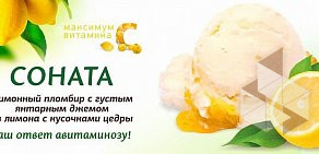 Магазин мороженого 33 пингвина на улице Попова