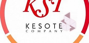 Рекламное агентство Kesote Company