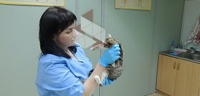 Ветеринарная клиника Друг на метро Бурнаковская