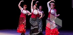 Школа танца фламенко La Mirada
