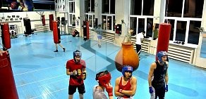 Академия бокса на улице Ванеева, 229