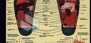 Салон красоты Максим на проспекте Бакунина