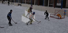 Детская дворовая хоккейная лига