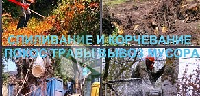 Компания Благоустройство Воронеж на Пушкинской улице, 10