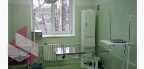 Ветеринарный центр Пульс в Быково