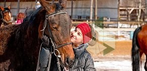 Конно-спортивная база Рязанский табунок