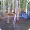 Веревочный парк Маугли на улице Кирова