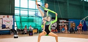 Фитнес-клуб Deti детская спортивная школа по художественной гимнастике и акробатике в Царицыно 
