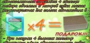 Компания по продаже автохимии In Clean Auto