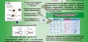 Институт химической биологии и фундаментальной медицины СО РАН